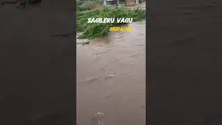 Giddalur Sagileru Bridge #heavywater #giddalurnews #giddalur #prakasamdistrictnews #heavyrain