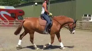 Art2Ride Associate Trainer Program: Olivia: Seat and Aids