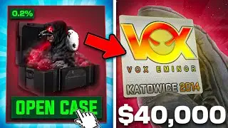 WE UNBOXED A $40,000 VOX EMINOR STICKER!?!?!?