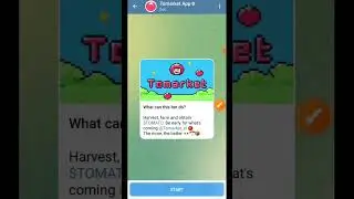 Tomarket App Opening Problem Solved and Bitget Wallet Rewards