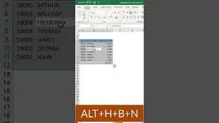 How to Remove the Borders in Excel?  #excel #excelformatting #excelborder