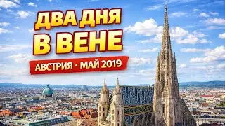 Вена, Австрия - 2019 #aleks_vikharev_tv