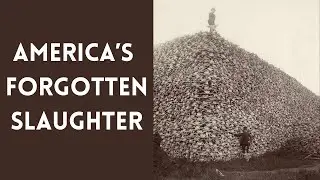 America&rsquo;s Forgotten Slaughter: The Buffalo That Vanished Overnight
