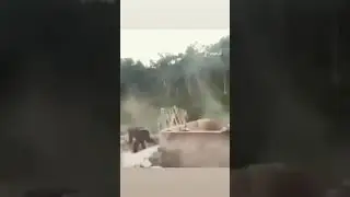 Kendini güçlü sanıyor 😂😂#shorts