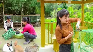 DIY Rabbit Cage Using Iron and Plastic Mesh &ndash; Buying Rabbits to Raise on the Farm | Nhất Bushcraft