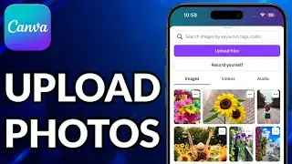How To Upload Photos To Canva From Phone