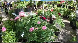 Firenze mostra dei fiori 2025