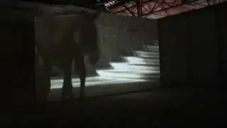 Douglas Gordon, Travail With My Donkeys, 2008