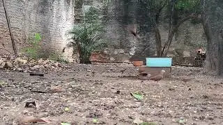 Admiring birds in COLOMBIA