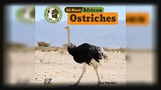 African ostrich: what does the largest bird tell us about itself?