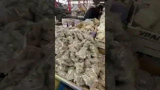 26 августа 2023&nbsp;г.