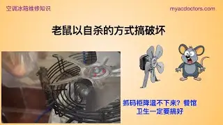 Condenser Fan Motor Burned Out Because Mouse Stopped the Fan Blade Spinning.