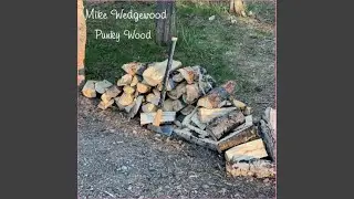 Punky Wood