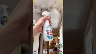 ARYUG Mold & Mildew Remover Spray for Walls, Wood, Furniture & Bathroom