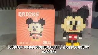 BIGBIRD DOES BRICKS BUILDING OF MICKEY MOUSE