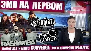 STIGMATA и RASHAMBA в эфире ПЕРВОГО КАНАЛА | THE KOREA В ТУМАНЕ | Motionless In White | Converge