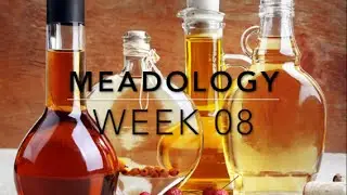 Mead Methodologies -- Week 08: Problems and Troubleshooting