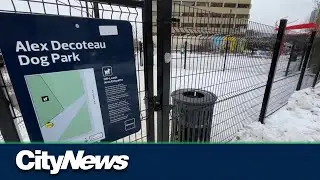 Edmonton creating up to 30 pop-up dog parks