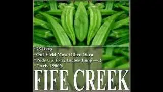 FIFE CREEK COWHORN Okra seed - HEIRLOOM,  SEEDS on  www.MySeeds.Co