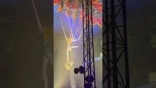 Circus #luxembourg #circus #travel #circusperformance #europe #circusacts #circustime