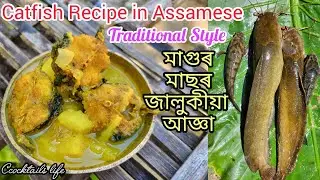 মাগুৰ মাছৰ জালুকীয়া আজ্ঞা Catfish Recipe in Assamese Traditional Style // Magur Masor Jalukia Anja🍲