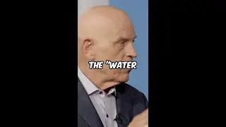 The 
