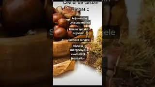 Beneficiile ceaiului de castan salbatic