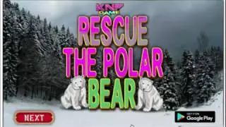 Knf Rescue Polar Bear Walkthrough
