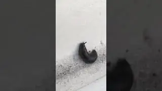 Nos adieux &agrave; Lima&ccedil;on ! 🤭😰😭 (tu vas nous manquer)