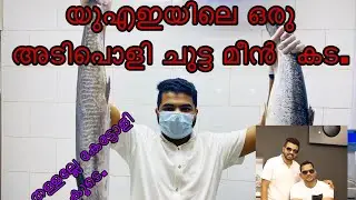 BEST GRILL FISH RESTAURANT IN UAE