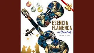 En Navidad: Caridad de Dios