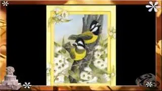 Ornithology (Benny Harris)