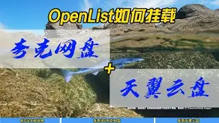 OpenList如何挂载夸克网盘+天翼云盘~
