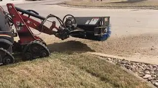 Spring Raking
