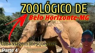 Zoológico de Belo Horizonte 🤩 Um passeio inesquecível #viagensporminas #turismo