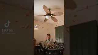 24 carrots in the air tiktok