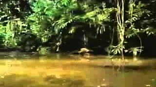 SOCOM II U.S. Navy Seals (Playstation 2) - Retro Video Game Commercial 6