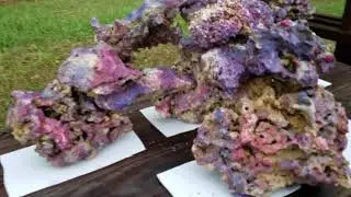 Finished coloring my rock!