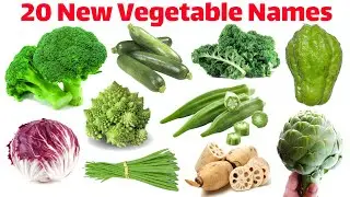 20 Vegetable Names for Kids | Learn Vegetables in English | Healthy Food Educational Video