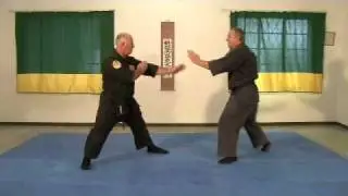 Genbukan Ninpo - South Africa - Tai-Jutsu demonstration