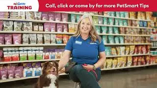 How to Crate Train Your Dog  | PetSmart Training Tips
