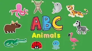 Teaching the Alphabet with the Animals | ABC Learning with Animals