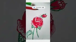 rose drawing 🌹#shorts #viral #youtube short
