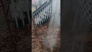 Turning Old Wood In To Living Soil (Part 1)