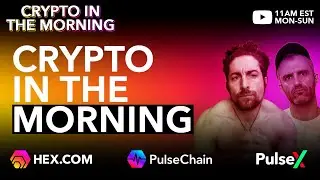 XEN token - Pulsepot launch (binance) - Polymaxi - Crypto news CITM #227