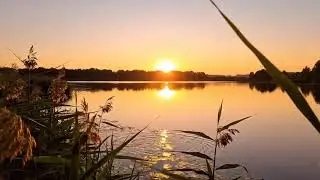 MORNING LOVE MUSIC - Gentle & Happy Energy - Soft Morning Meditation Music For Compassion