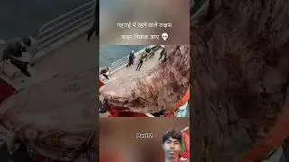 समंदर में जाना महँगा पड़ गया। (Part 1) #netclips netclips