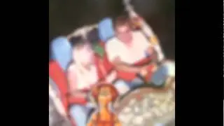 F&uuml;r Bibi / Bibinators / LeLeBibinatorHorses