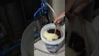 how to clean membrane