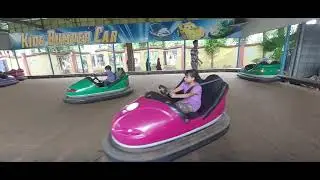 Why Kids Love Bumper Cars at Fantasy Kingdom